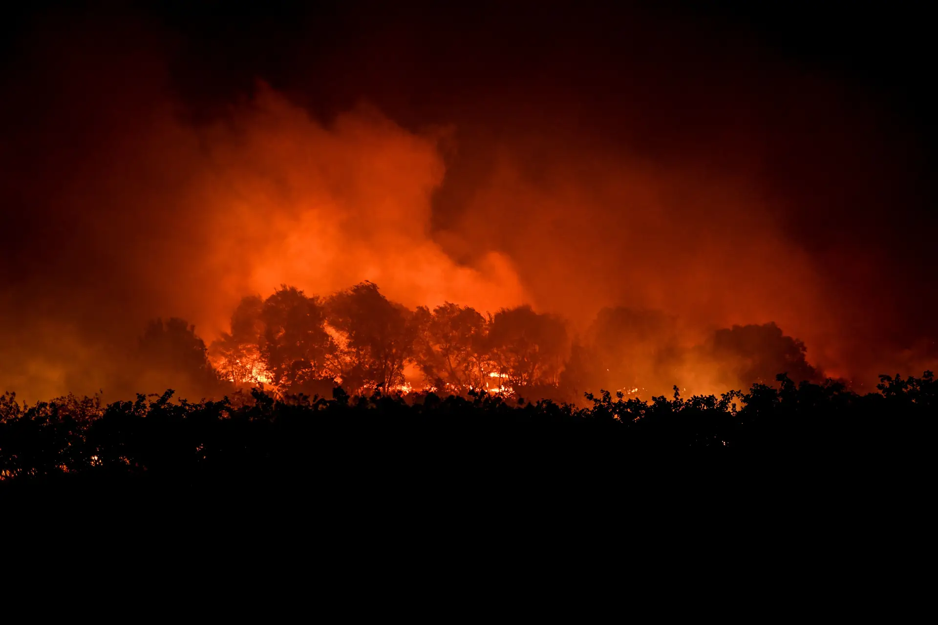 Septuagenário detido pela autoria de quatro incêndios na Póvoa de Lanhoso