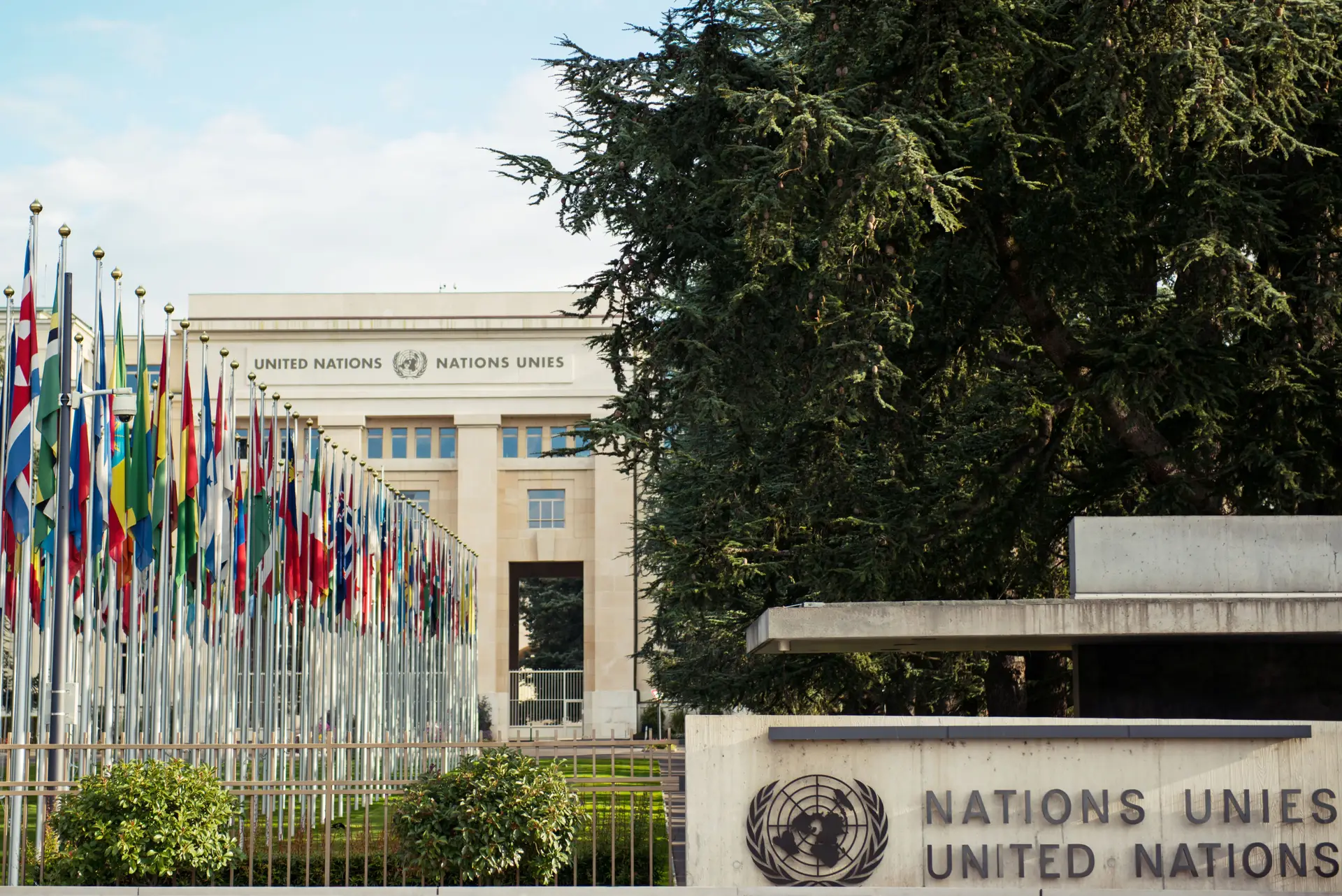 Crises de segurança, alimentar, energética e ambiental em debate da Assembleia Geral da ONU