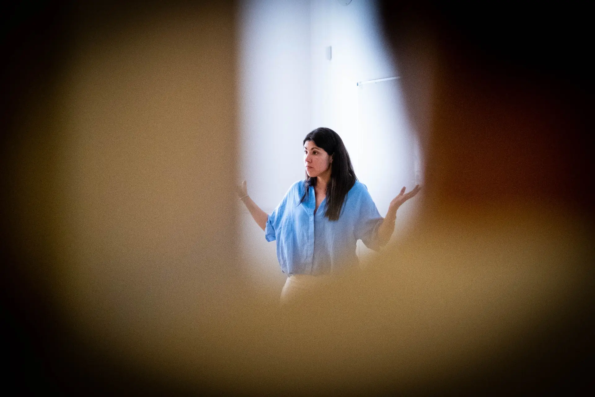 Audiências em Belém: PCP critica “poder absoluto” do Governo, BE aponta “deriva autoritária”, PAN e Livre pedem “diálogo”