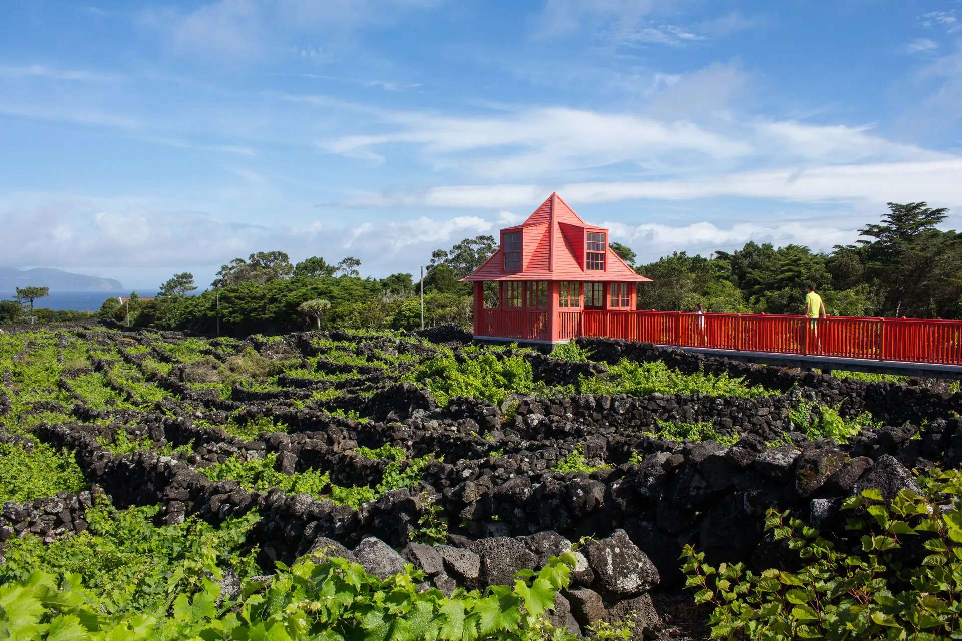 Museu do Vinho, na ilha do Pico