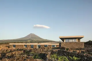 Azores Wine Company