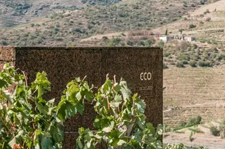 Ecocubo entre as vinhas da Quinta do Pôpa