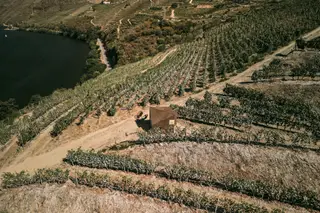 Ecocubo entre vinhas