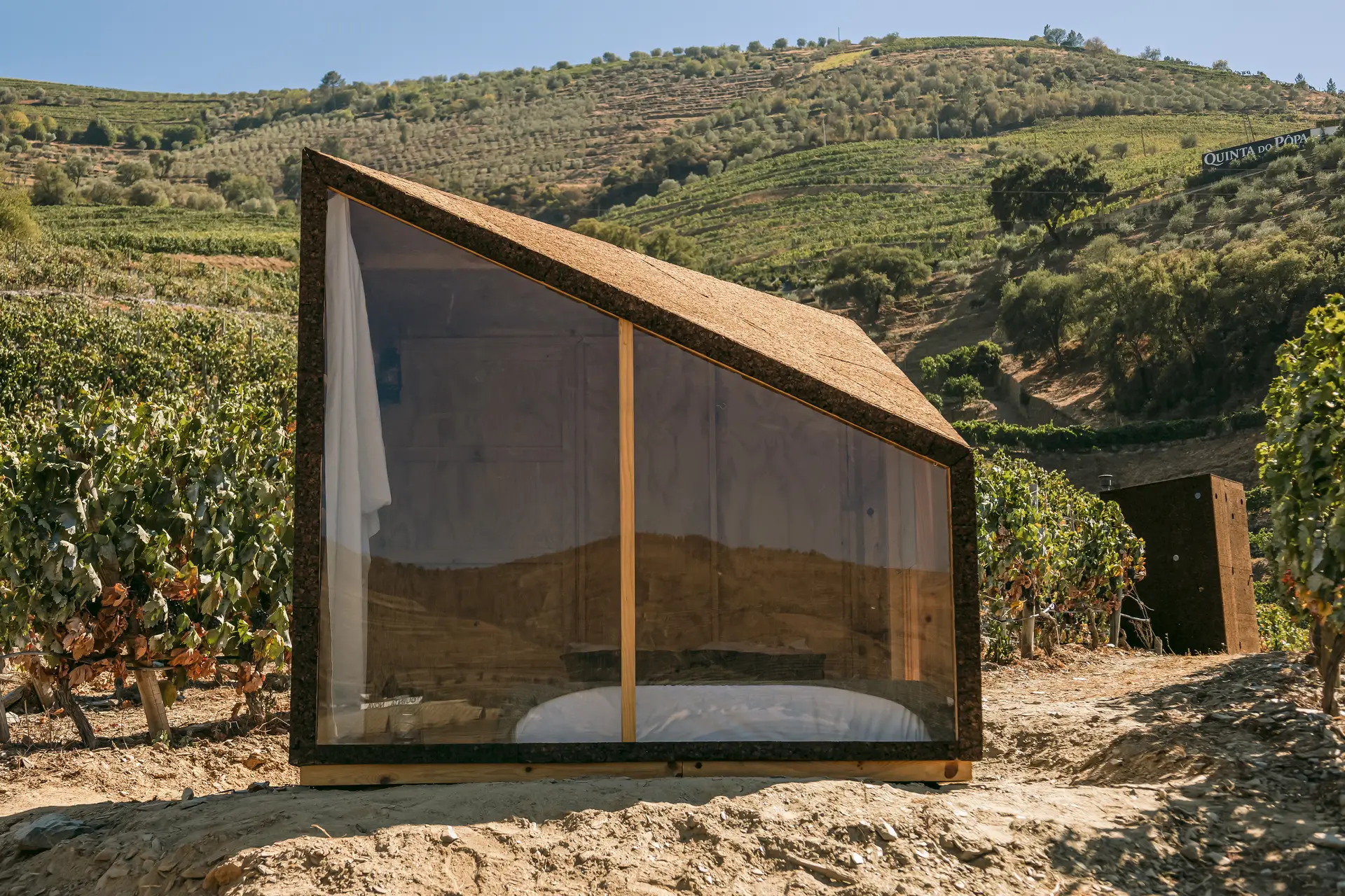 Vindimar e dormir num Ecocubo sustentável entre as vinhas do Douro