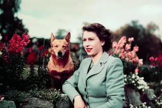Isabel II, a rainha do século: 33 imagens de uma longa vida em união com o reino