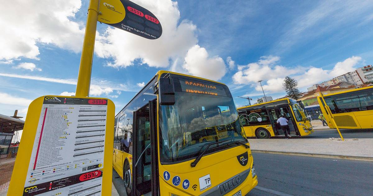 Portugal tem o 15º melhor desempenho ambiental entre 29 países, mas enfrenta desafios nos transportes públicos e no lixo