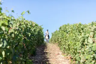 Quinta das Murgas