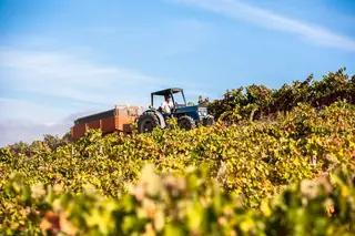 Quinta de Chocapalha