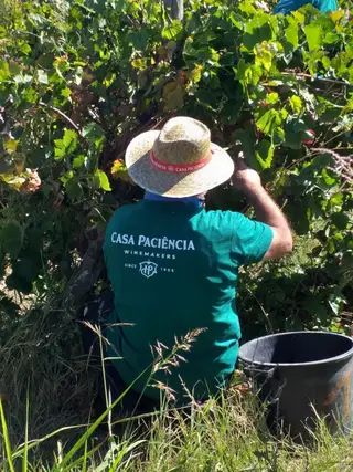 Casa Paciência