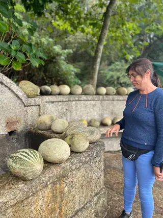 "Tem de bater cheiinho", explica Fátima Pinheiro sobre a melhor forma de escolher o fruto