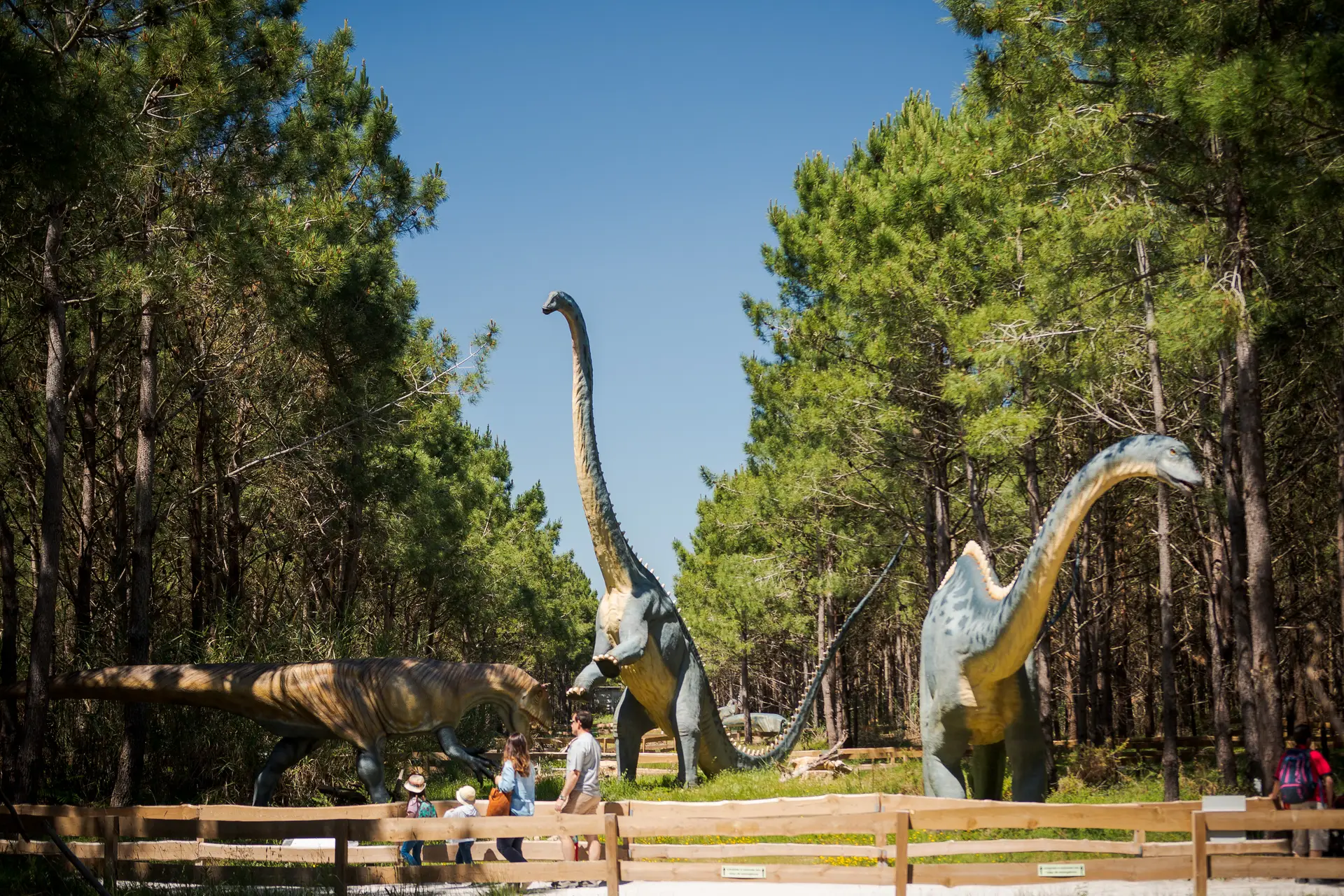 No reino dos dinossauros há gigantes do passado para descobrir durante todo o ano