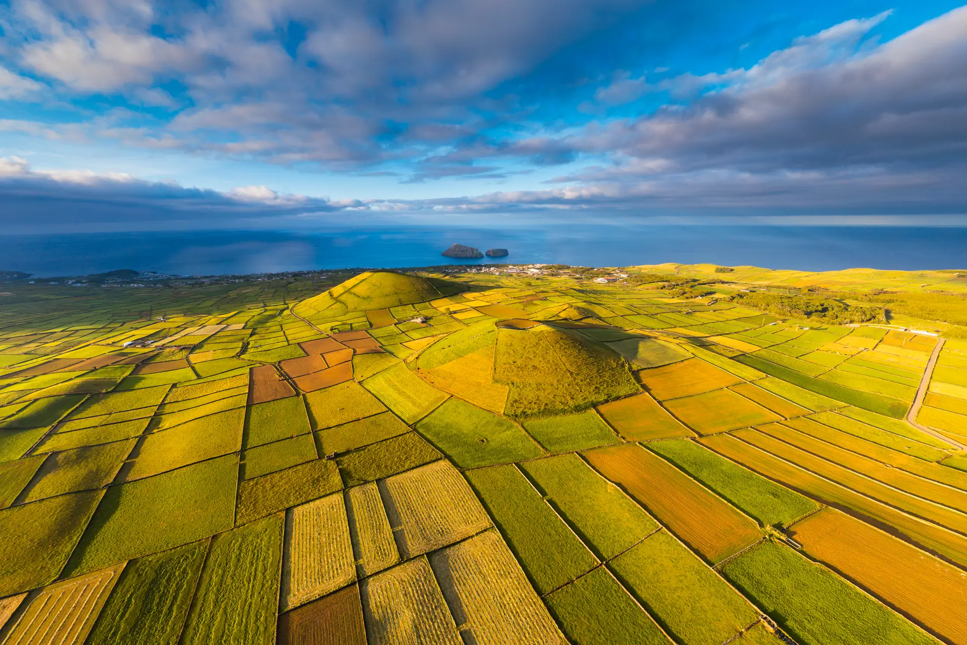 Já se produz café nos Açores, nomeadamente na Ilha Terceira, mas em pequenas quantidades