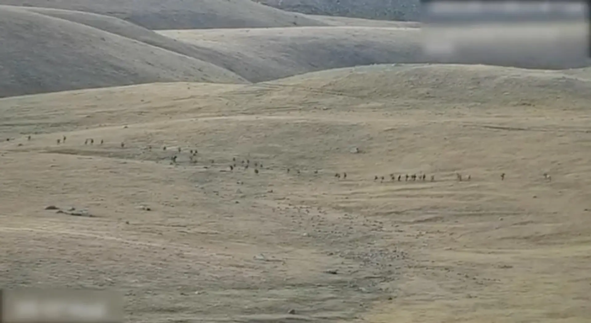 Cem soldados mortos em combates na fronteira entre Arménia e Azerbaijão