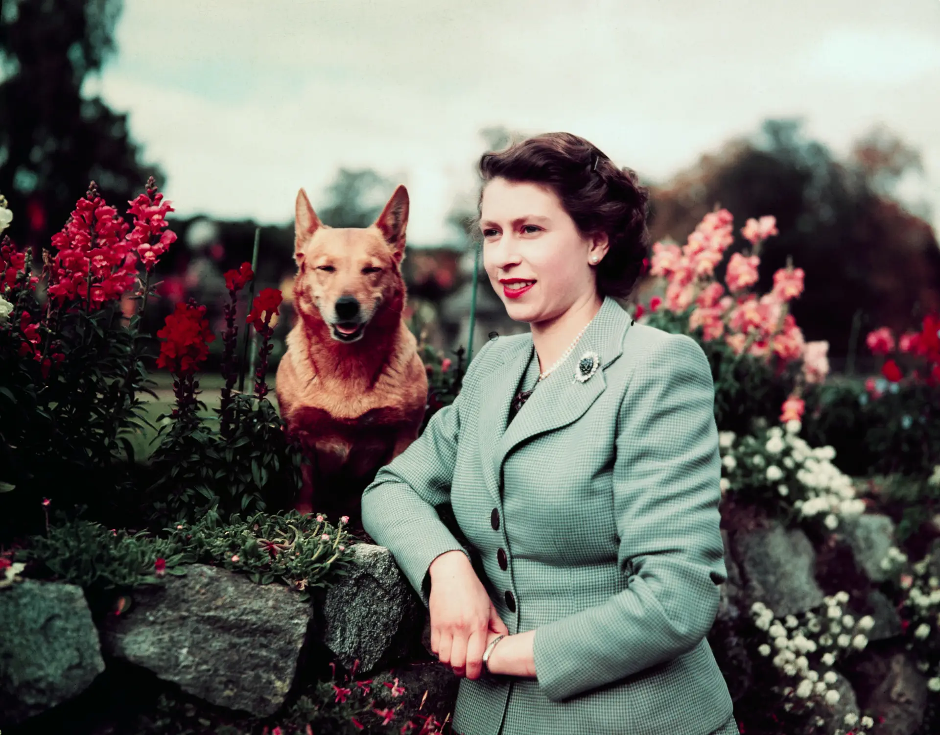 A rainha perfeita? Isabel II fez do silêncio um “trunfo” que nem sempre soube usar e isso abalou o castelo de cartas da “avó da nação”