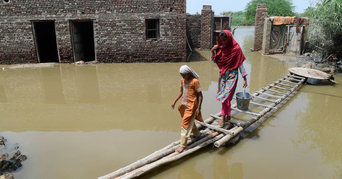 Cheias no Paquistão, uma tragédia a céu aberto à atenção da COP27