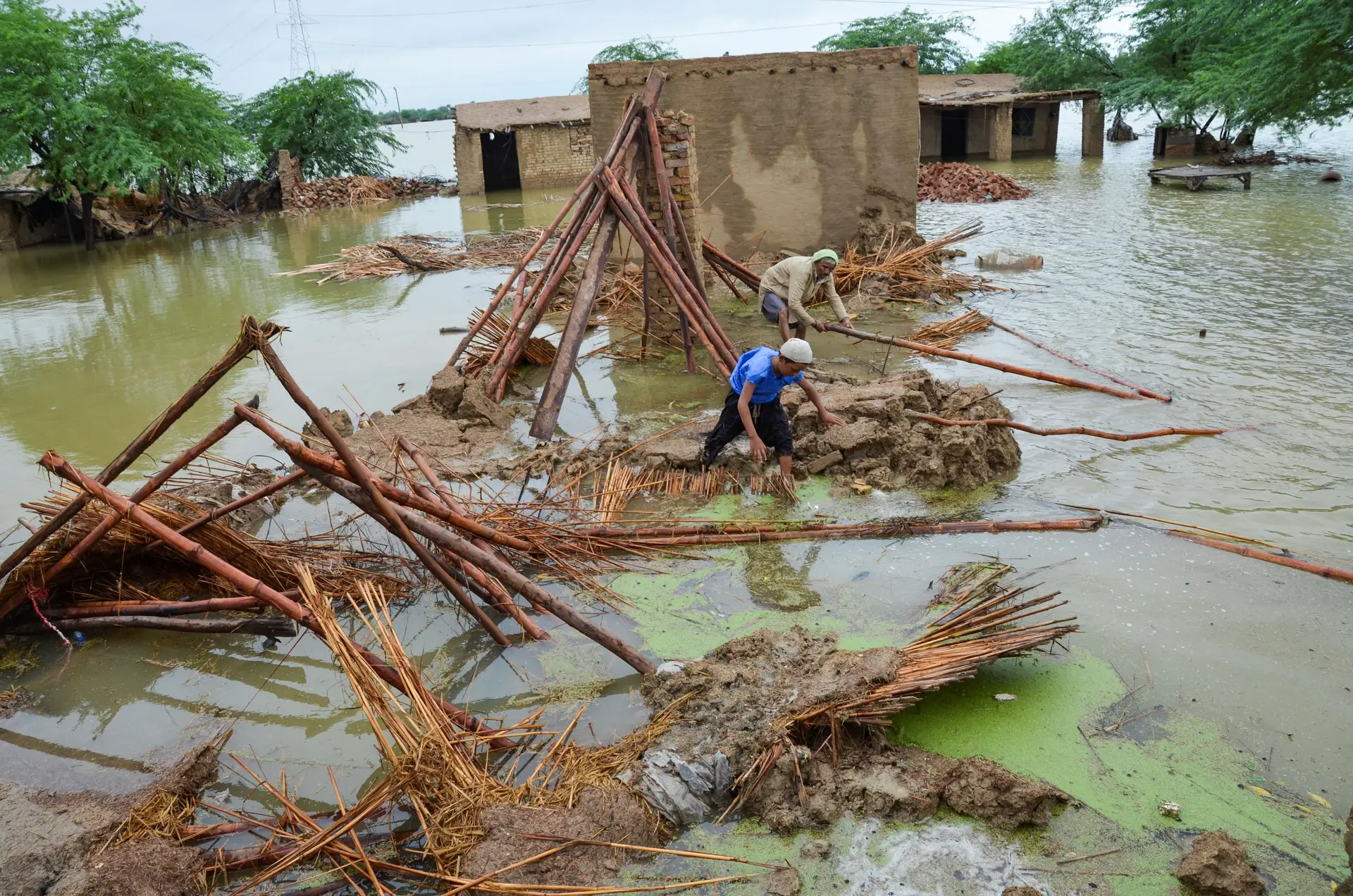 Duas pessoas recolhem bambus intactos, junto a uma casa totalmente destruída, em Dera Allah Yar
