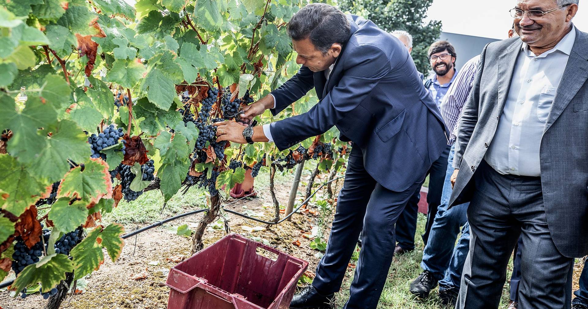 Expresso Montenegro com a mão nos tachos e o PS na mira em Viseu