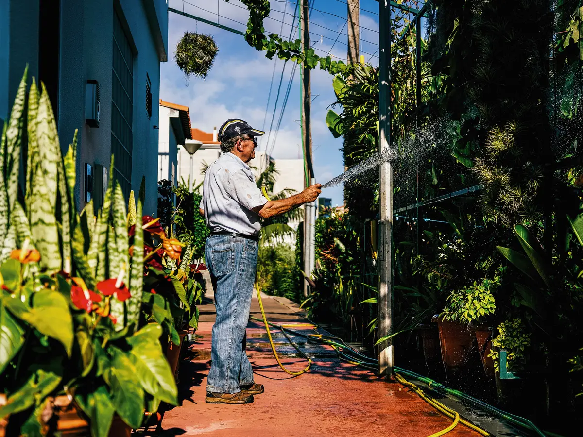 Já joguei no Totoloto e se me sair não deixo esta casa” - Expresso