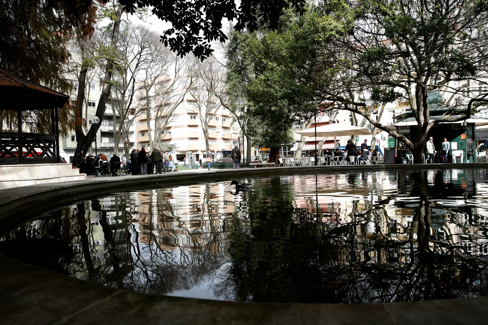 “Política de mobilidade não pode destruir qualidade de vida”: Campo de Ourique volta ao protesto contra obras do Metro no jardim