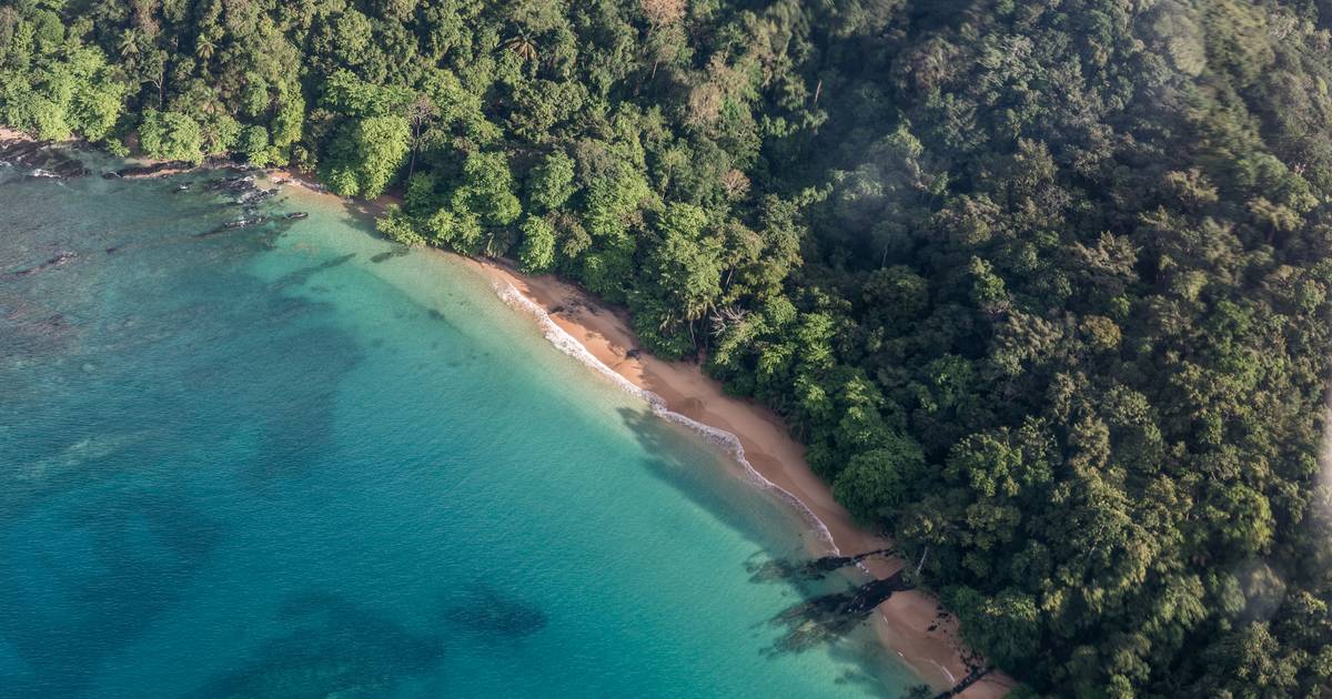 Governo e partidos do Príncipe com acordo para restabelecer parceria com o grupo empresarial sul-africano