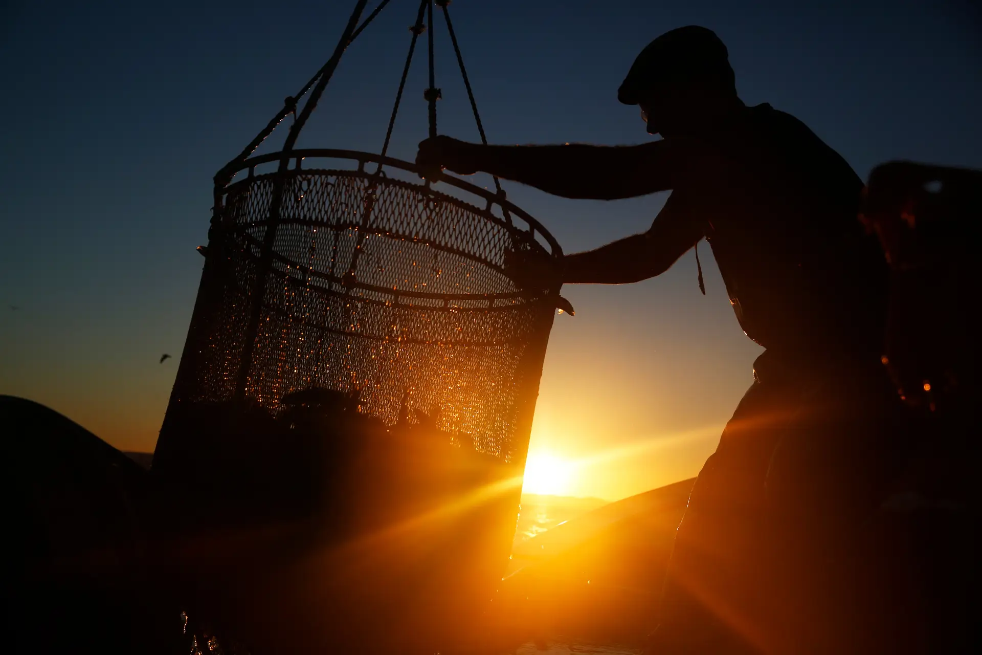 Apreendidos 680 quilos de pescado capturado ilegalmente nos Açores