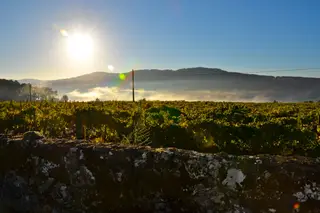 Quinta do Cruzeiro
