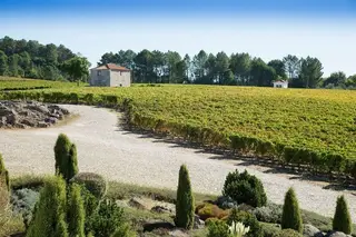 Quinta de Lemos