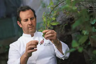 A Cozinha por António Loureiro