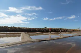 Salinas de Castro Marim