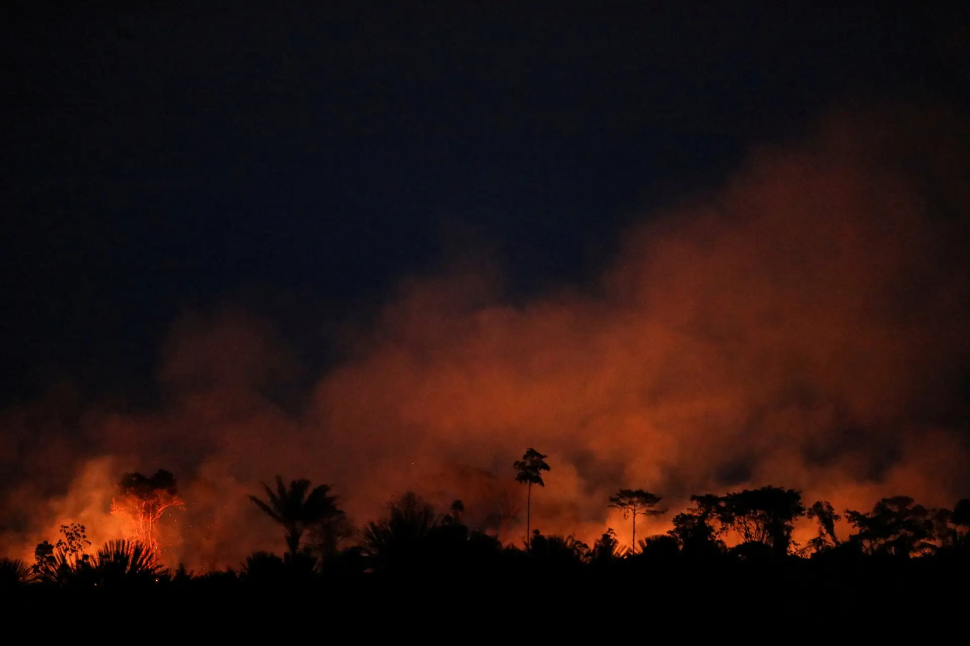 Amazónia enfrenta os piores incêndios dos últimos dez anos