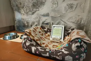 Kit Pet Friendly da Casa das Palmeiras