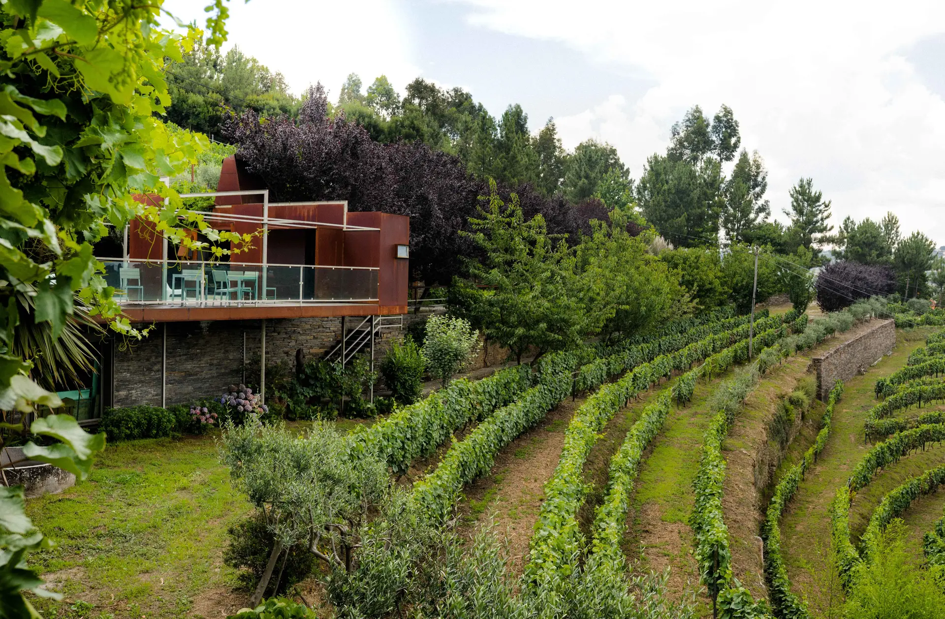 Paraíso de relaxamento, novo enoturismo revela o Douro ancestral e autêntico