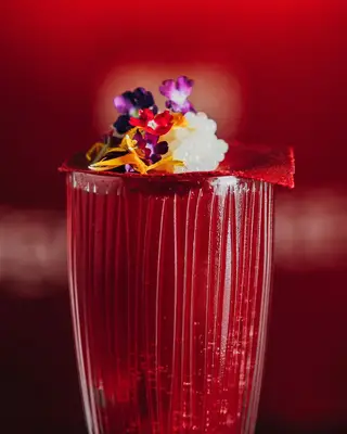Cocktail Red Potion