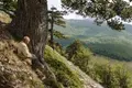 Uma equipa de espeleólogos vai explorar uma fenda geológica sem fim. O que poderá vir “Das Profundezas”?