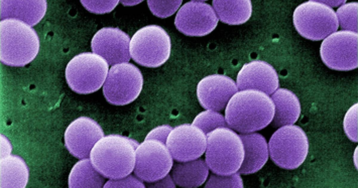 Resistência antimicrobiana pode levar à morte de mais 10 milhões de pessoas por ano até 2050 e a culpa é da poluição com origem nos fármacos