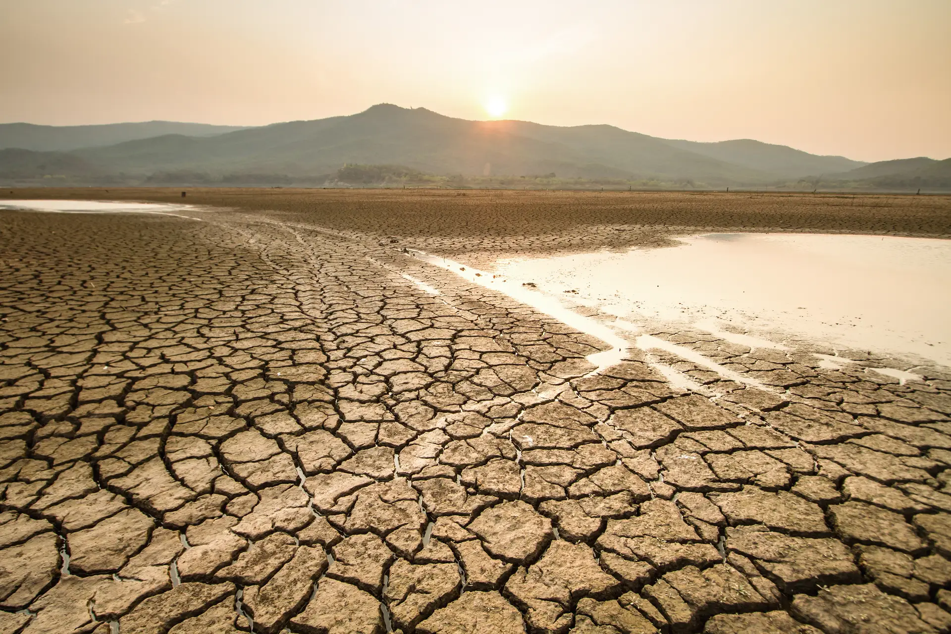 Dia Mundial da Água: humanidade "vampírica" enfrenta crise global iminente de água