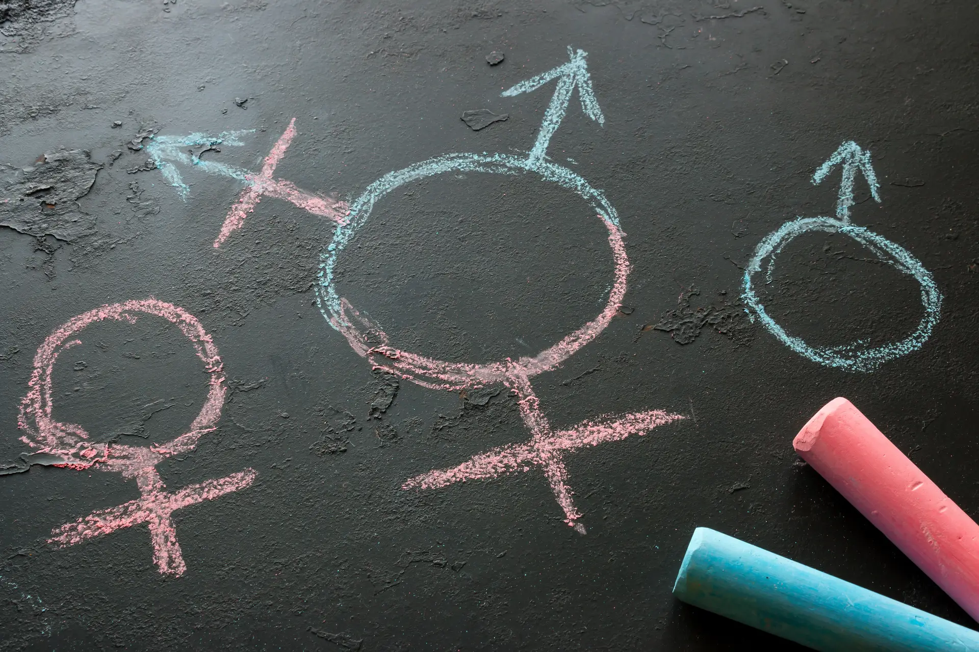 Escolas vão ter responsável para jovens manifestarem identidade de género