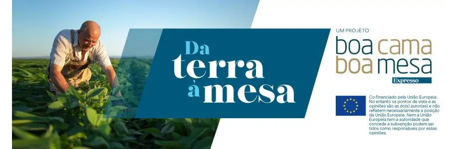 Queijo, borrego e vinhos: tesouros gastronómicos para descobrir em Serpa (VÍDEO)