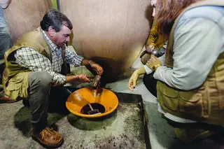 Amphora Wine Day
