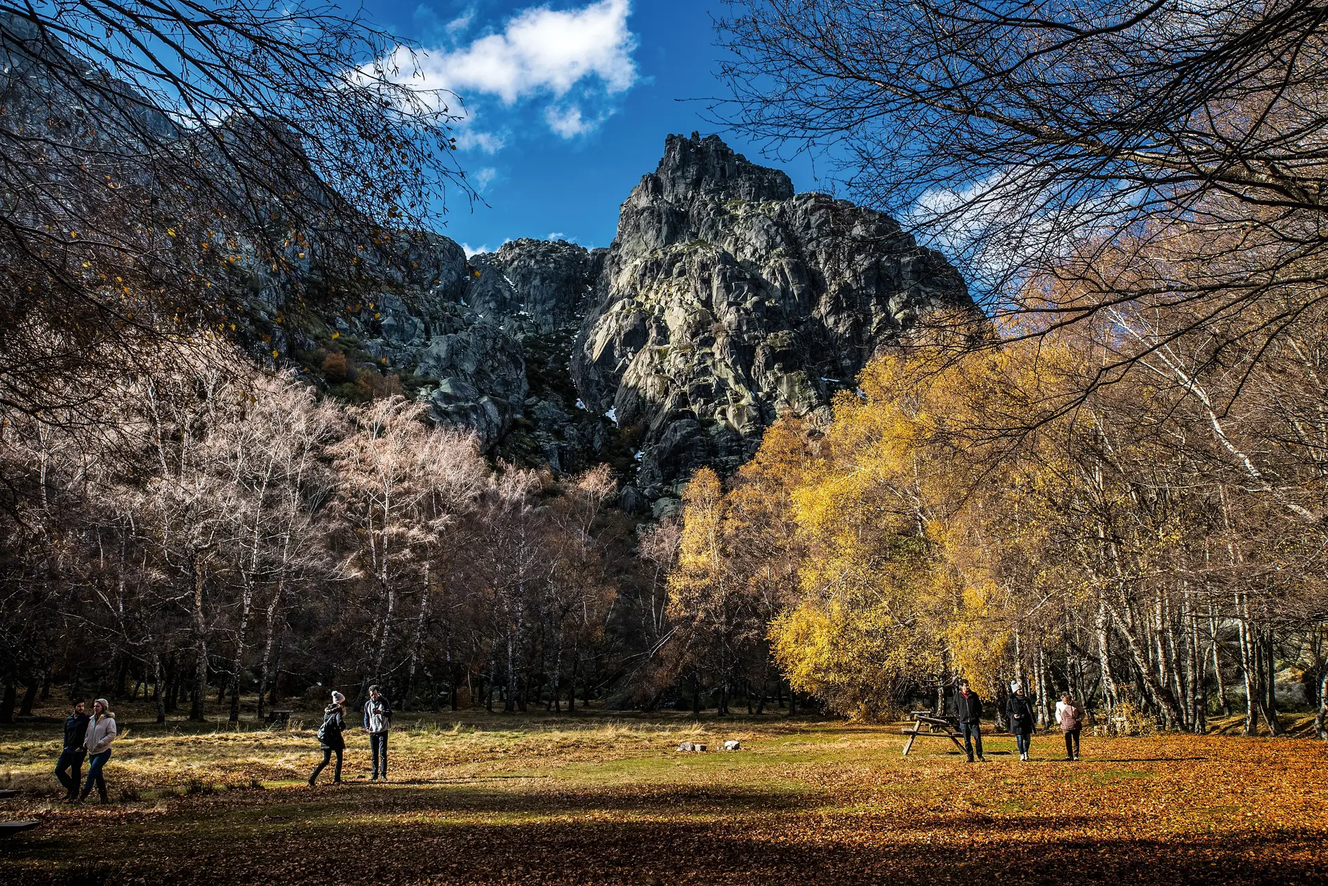 O turismo estimula todos os outros sectores da economia, mas é sempre a primeira vítima em momentos de crise