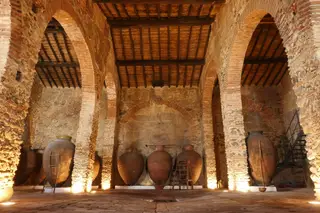 Cella Vinaria Antiqua