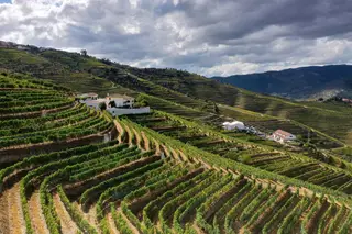 Quinta da Côrte