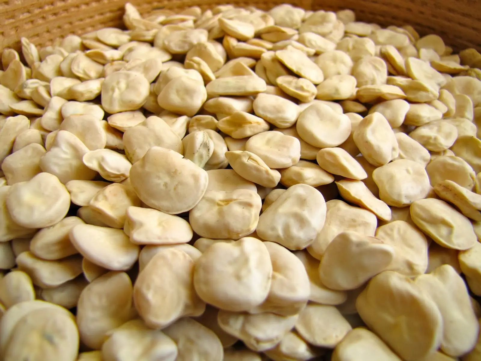 Chícharo: a leguminosa nutritiva que parece um tremoço e se coze como o grão
