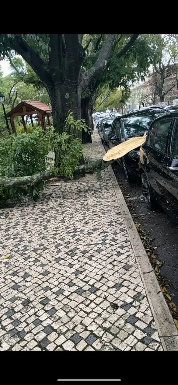 As alterações climáticas vão trazer mais tempestades como as de terça-feira. Lisboa está preparada?