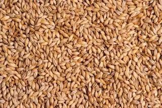 Prolongamento do acordo para exportação de cereais ucranianos provoca ligeira quebra de preços