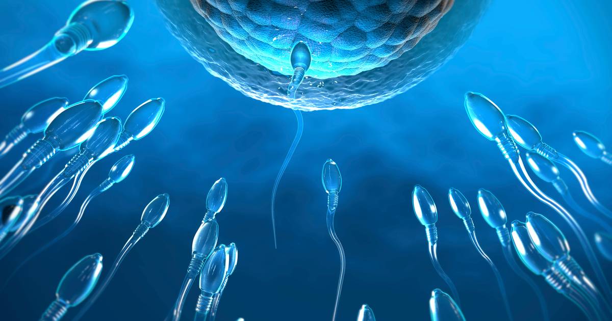 Fertilidade masculina em perigo. Qualidade do esperma humano diminuiu para metade em 50 anos
