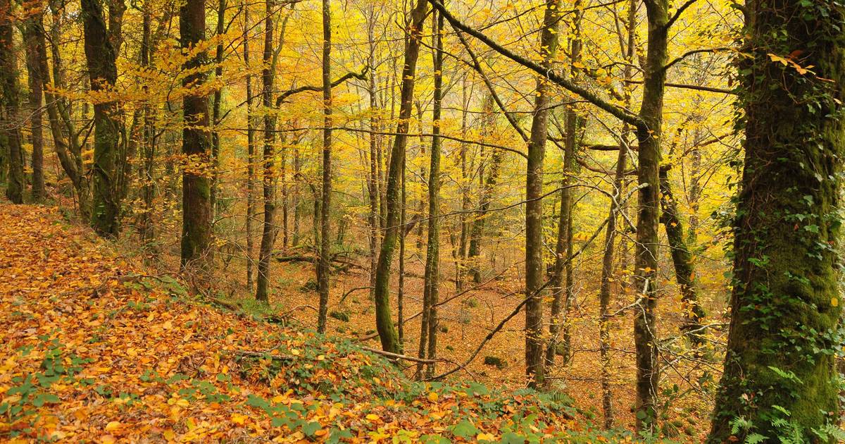 Volta a Portugal atravessa coração do Gerês e reacende guerra entre conservação da natureza e promoção do turismo e do desporto
