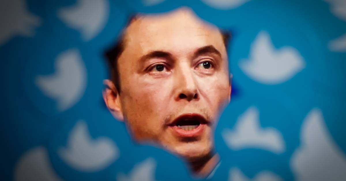 Desde que Elon Musk chegou, o Twitter perdeu quase metade das receitas em publicidade