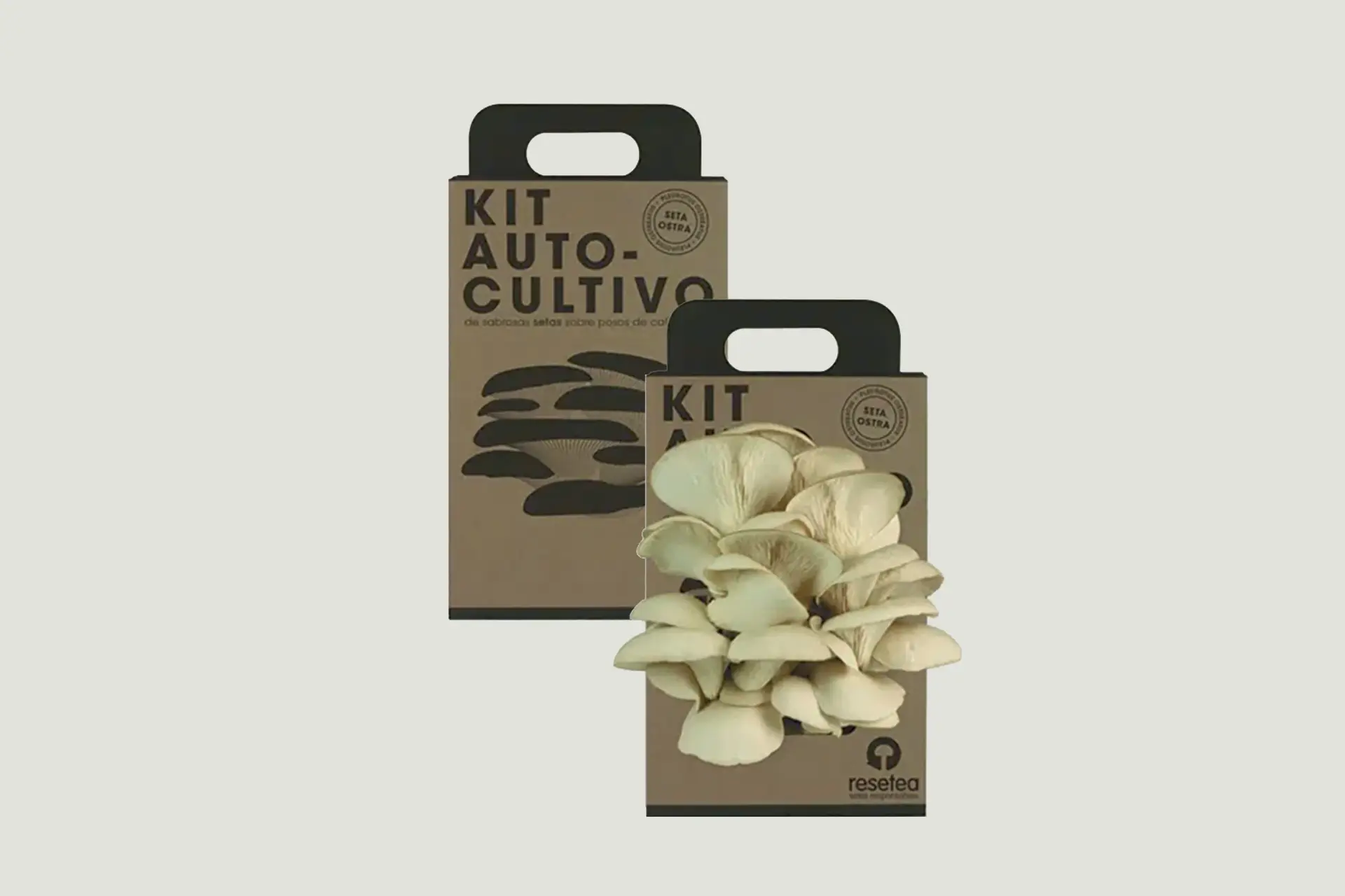  Kit de autocultivo de cogumelos €21,90 Pegada Verde