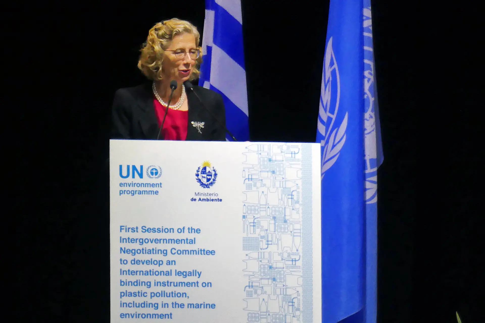 Inger Andersen, diretora-executiva do Programa das Nações Unidas para o Meio Ambiente.